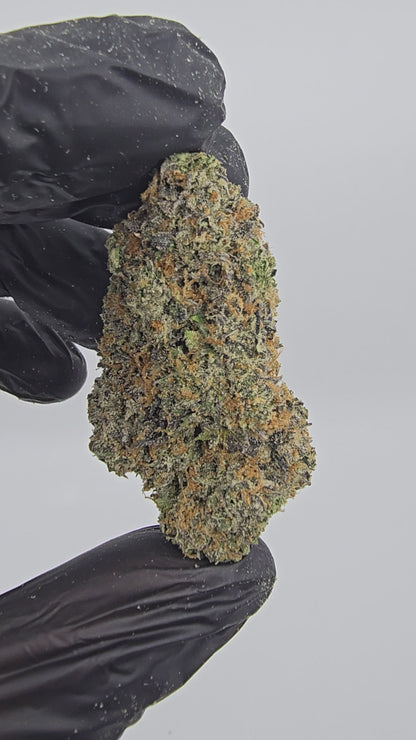 Lemon Cherry Gelato | Boutique Tier | Flower