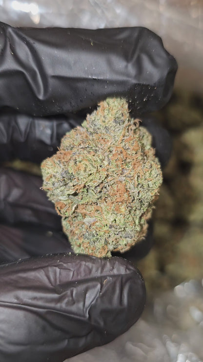 Chem Valley Kush | Boutique Exotics | Flower | MEMBERS ONLY DEAL