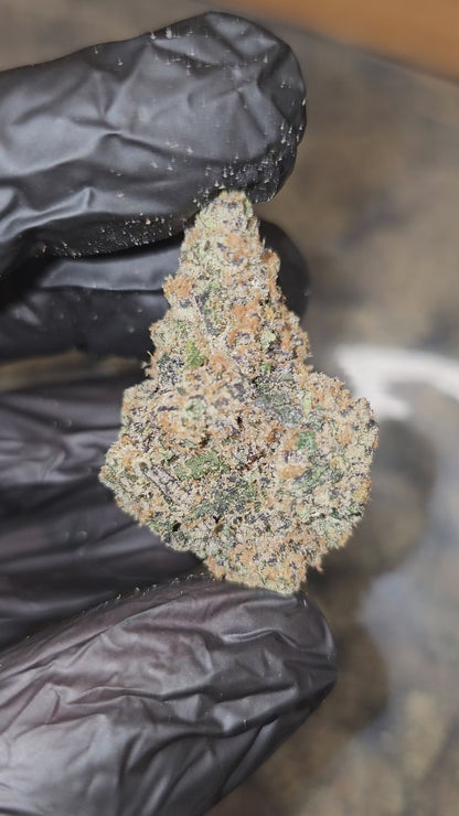 Hood Candy | Boutique Exotics | Flower | MEMBERS ONLY - ON SALE