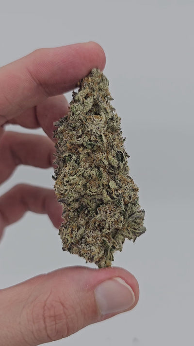 Money Maker | First Cut Exotics | 34% Flower | On Sale