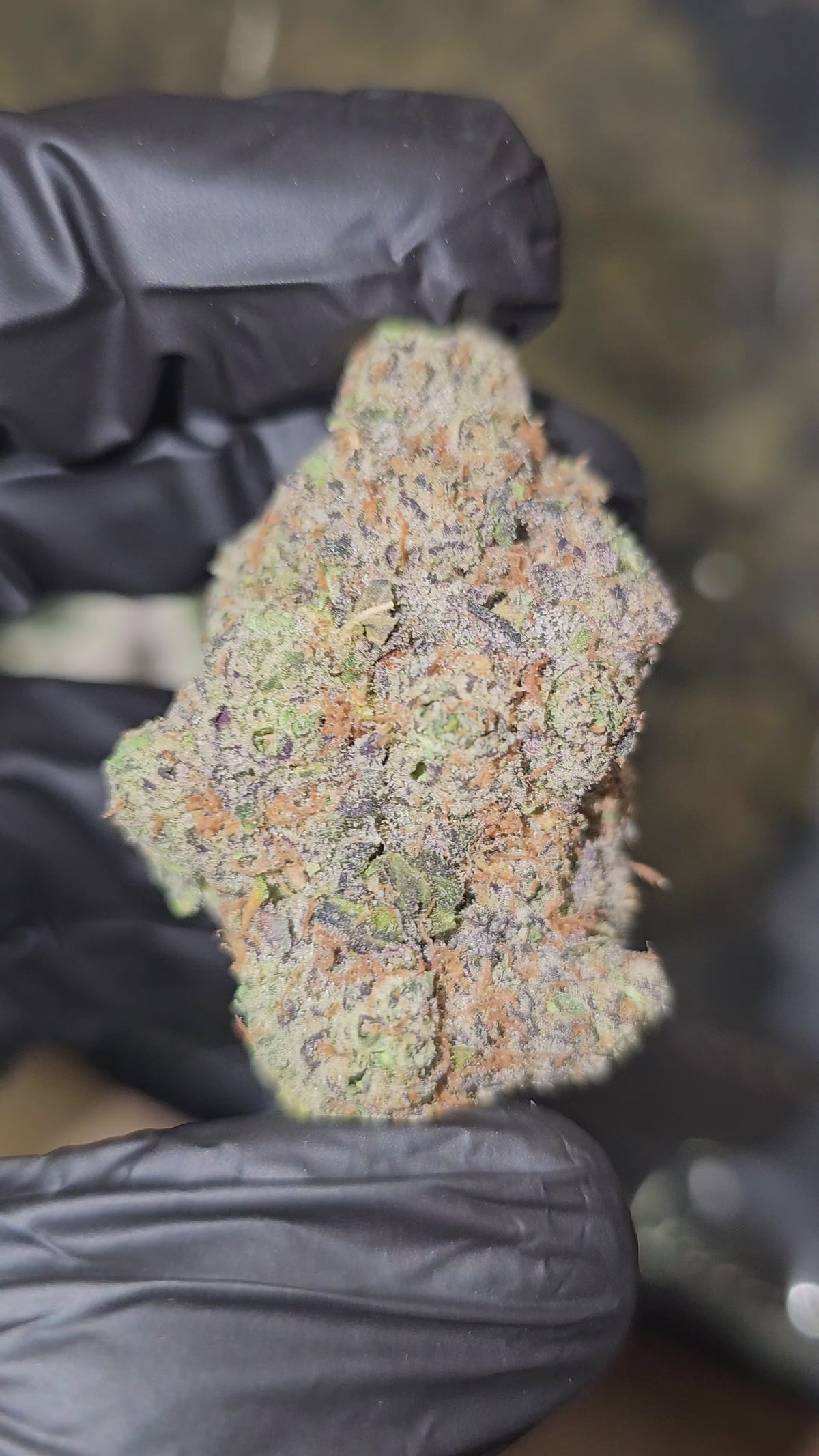 Sour Diesel | Boutique Exotics | Flower