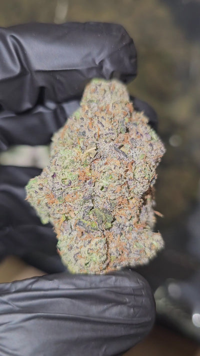 Sour Diesel | Boutique Exotics | Flower