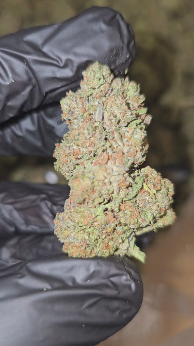 Green Crack | Top Shelf | Flower | On Sale