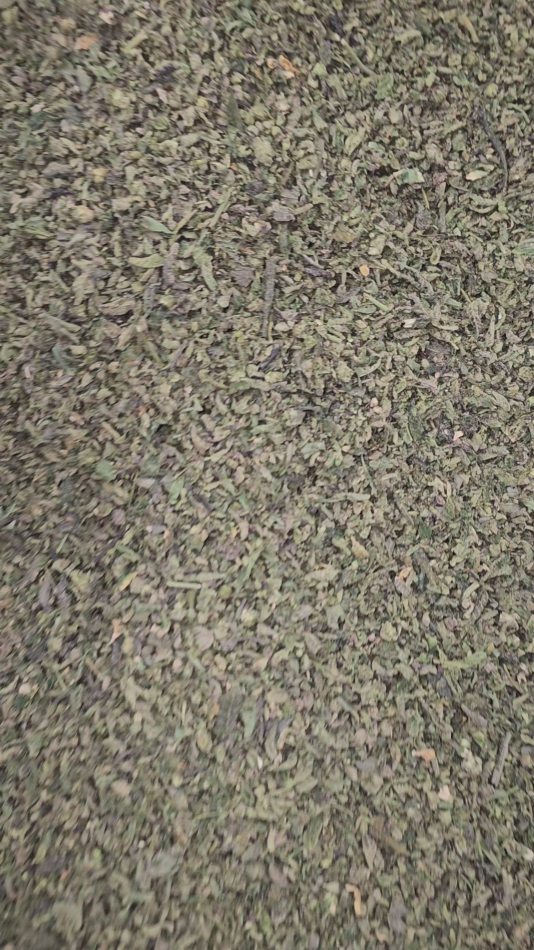 Load video: SHAKE | BULK FLOWER | SHAKE POUND | BUD-TENDER'S CHOICE STRAIN