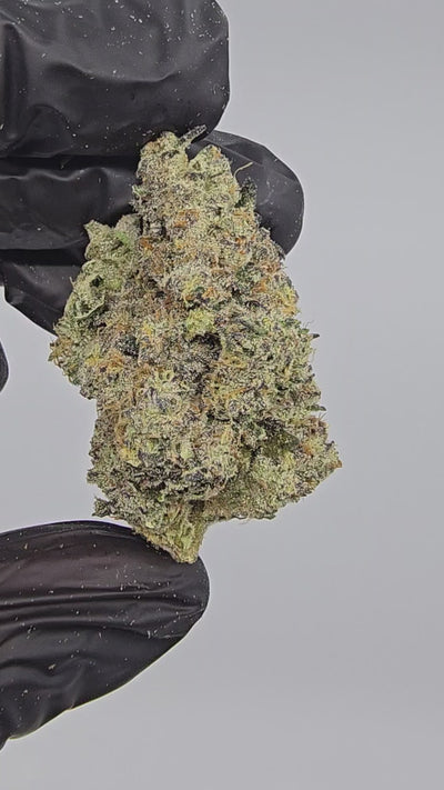 GMO x ICC | First Cut Exotics | Flower