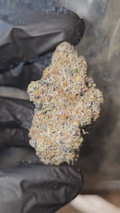 D'Lish | First Cut Exotics | Flower | 29.38%