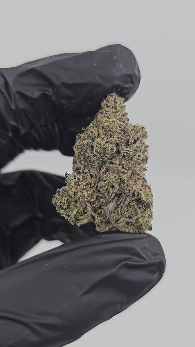 Blue Shamu | First Cut Exotics | 33% | Flower