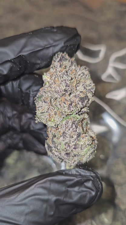 Super Runtz | First Cut Exclusive | Flower | 7g Packs