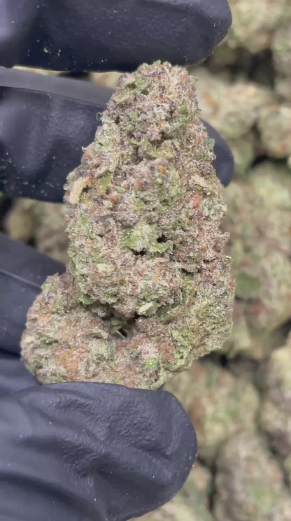 Glitter Bomb | Top Tier | Flower | ON SALE