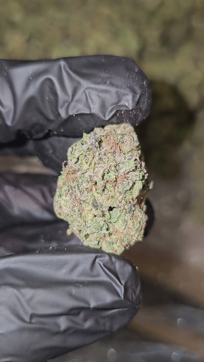 Cherry On Top | Top Shelf | Flower | On Sale