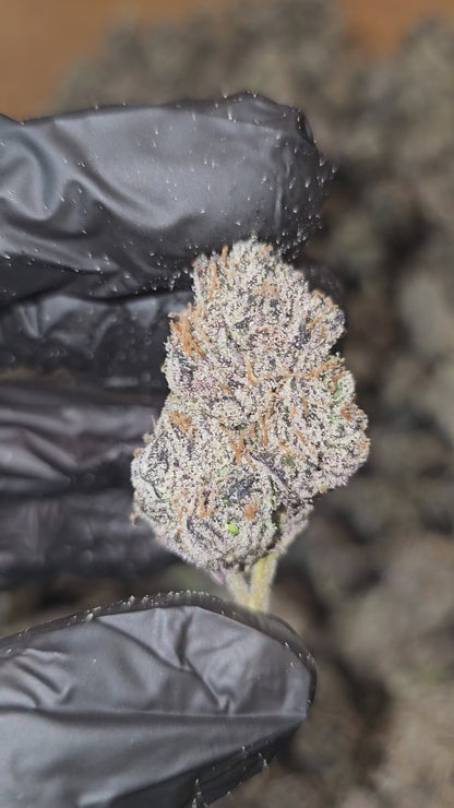 Blue Nerdz | First Cut Exclusive | Flower | 7g Packs
