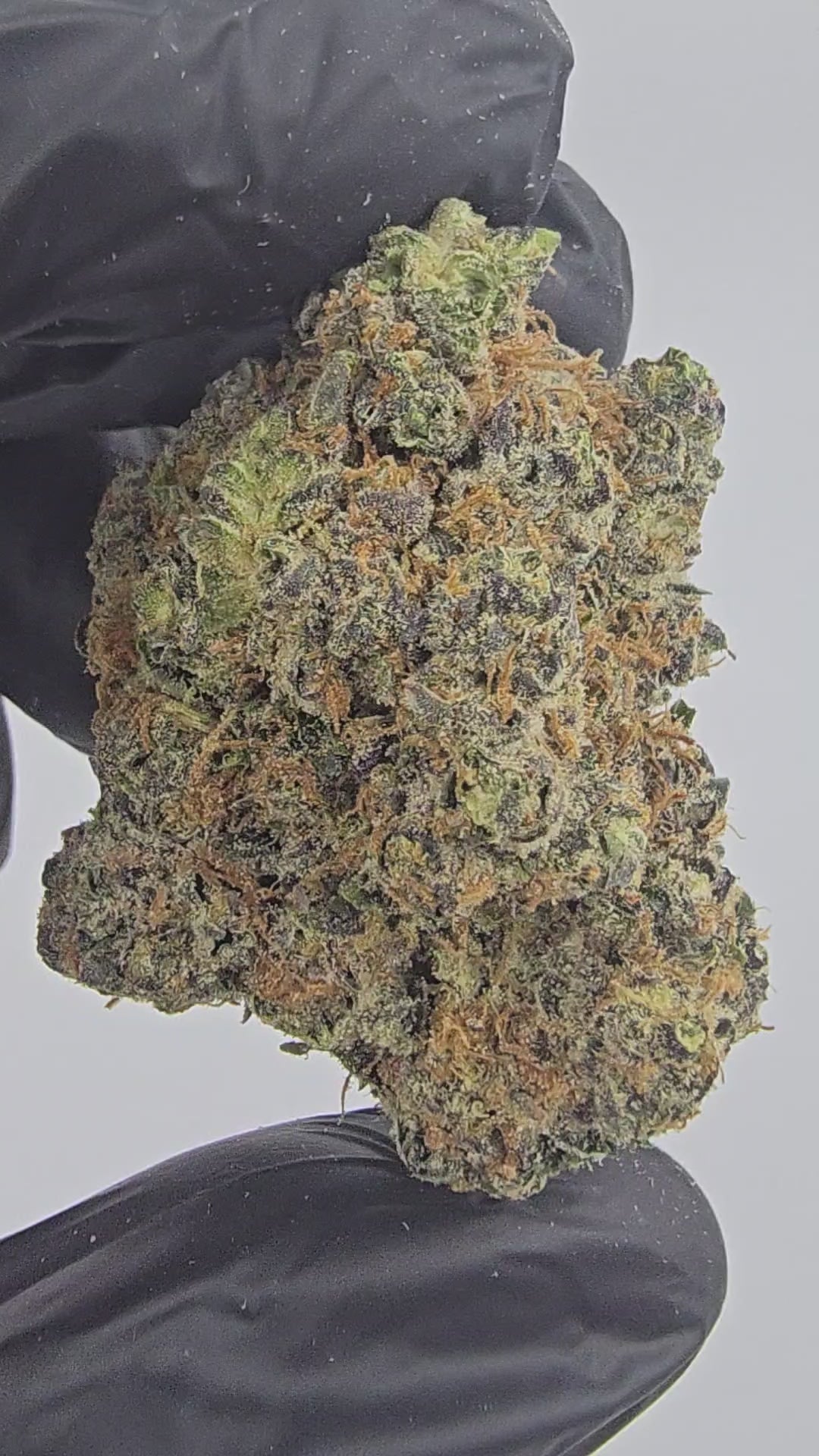 Grape Kush | Boutique Exotics | Flower