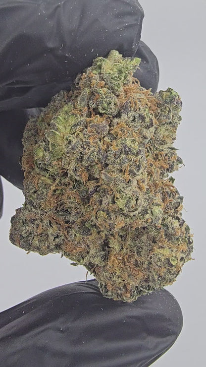Grape Kush | Boutique Exotics | Flower