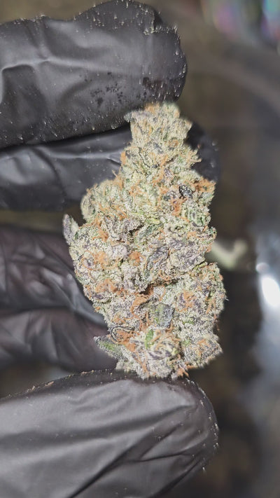 Peanut Butter Cookies | First Cut Exotics | 31% | Flower