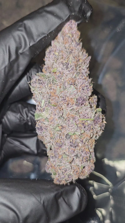 Secret Weapon | First Cut Exotics | Flower