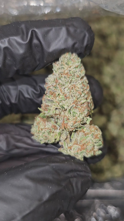 Triple Scoop | Top Shelf | Flower