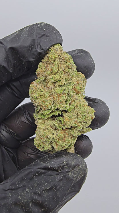 Papaya | Top Tier | Flower