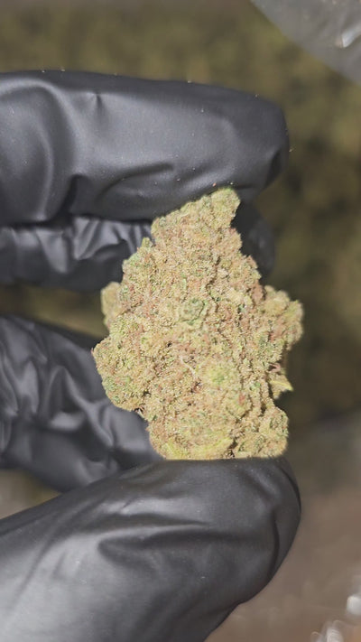 Tangerine Dream | Top Shelf | Flower | On Sale