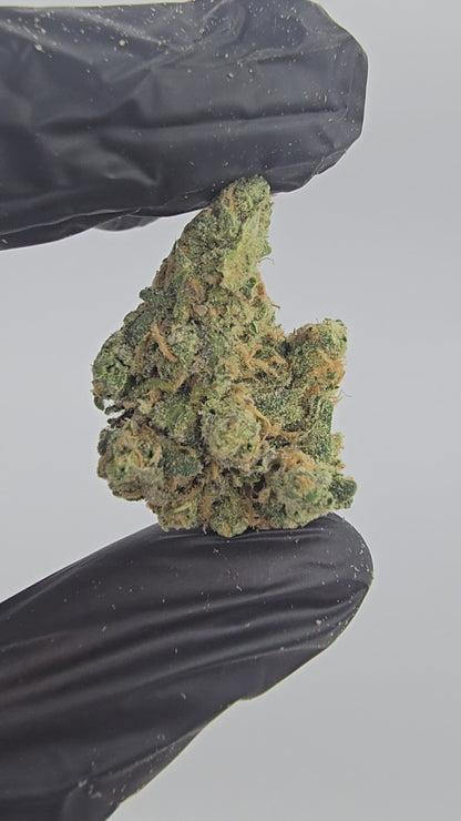 Blue Dream | Boutique Tier | Flower