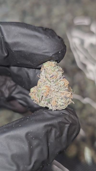 Dante Inferno | "Medium Buds" | First Cut Exotics | Flower | ON SALE