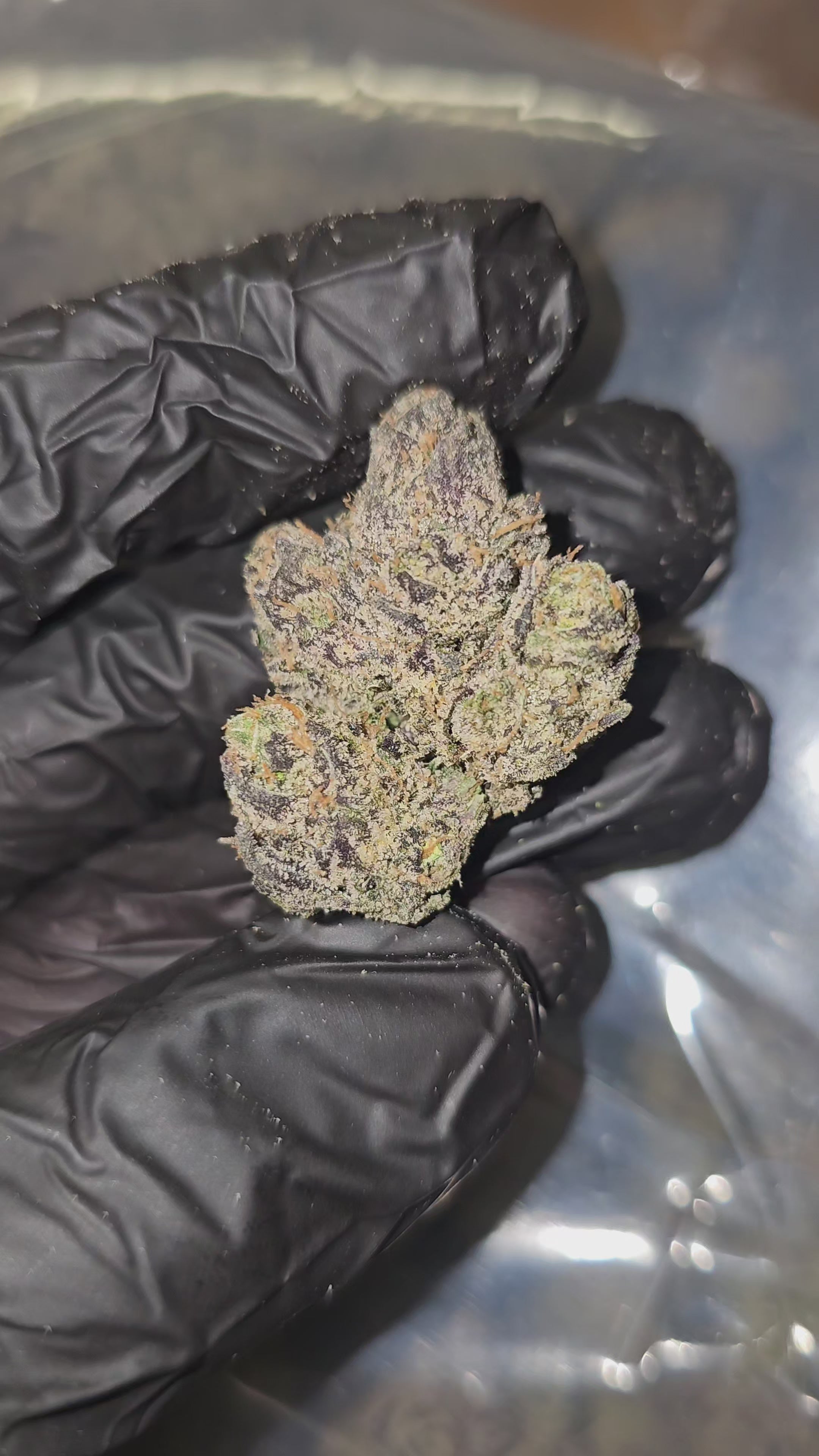 Wedding Cake | First Cut Exclusive | Flower | ON SALE