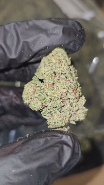 Lemonatti | Top Shelf | Flower | On Sale