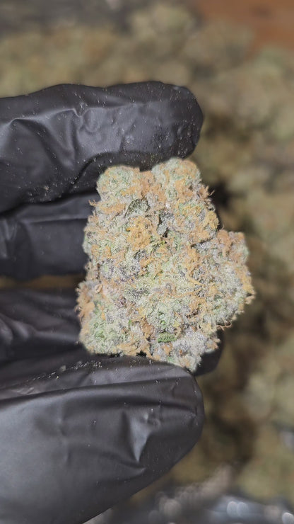 Pink Drink | First Cut Exotics | Flower | 37% | MEMBERS ONLY