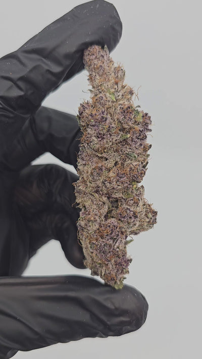 Tropicana Cherry | First Cut Exotics | Flower | ON SALE