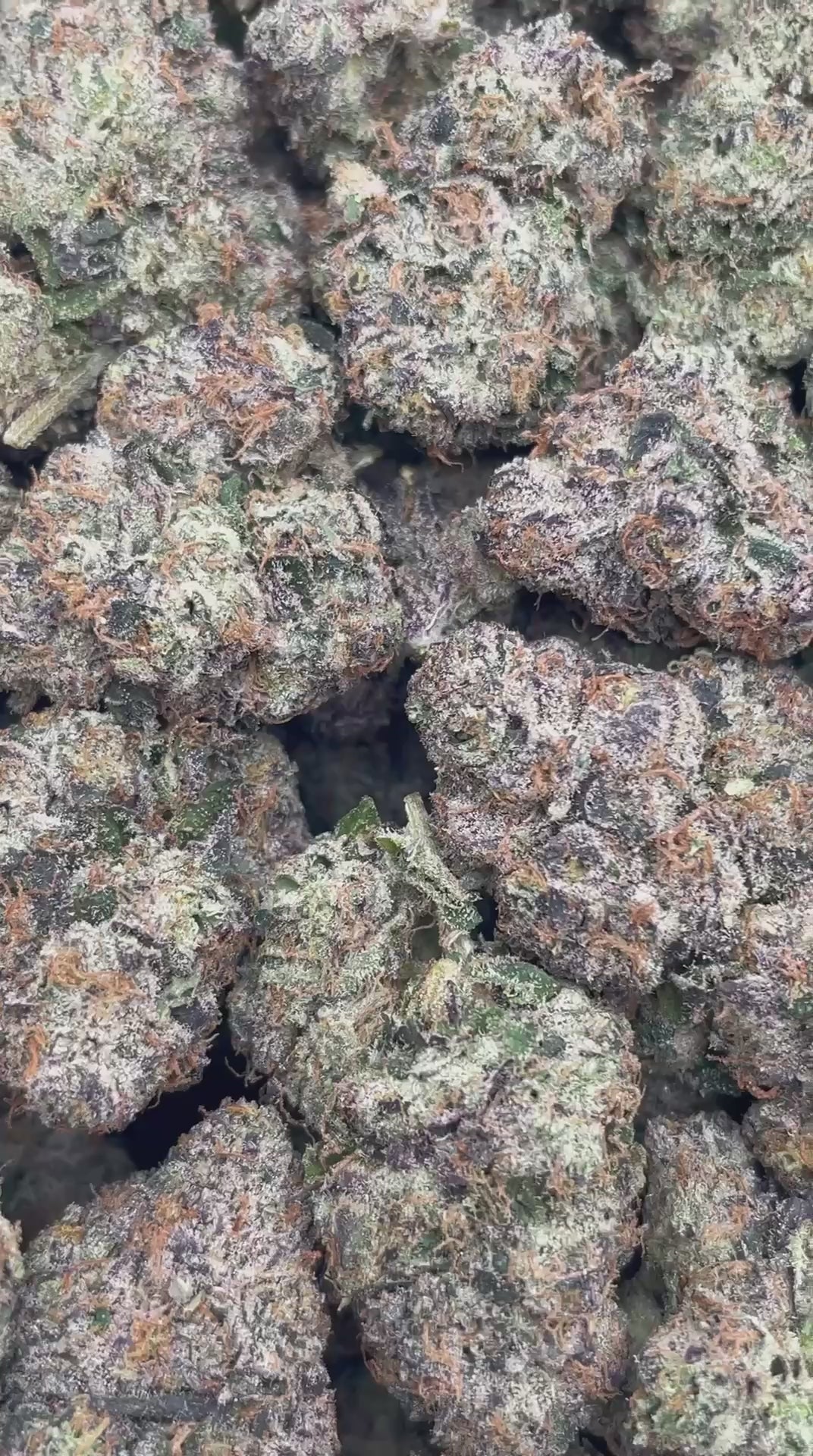Load video: Candy Gas | Boutique Tier | Flower