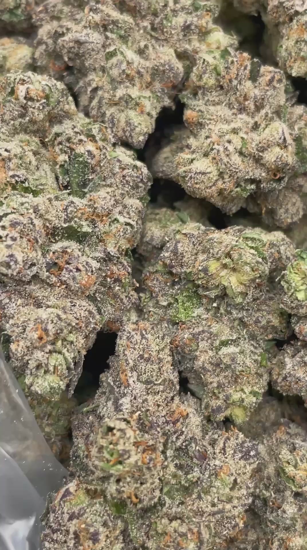 White Cherry Runtz | First Cut Exclusive | Flower