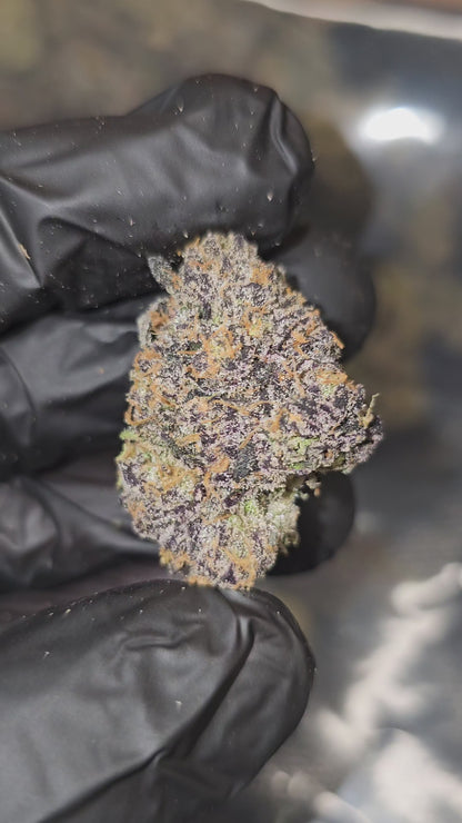 Blue Sharpiez | First Cut Exclusive | Flower