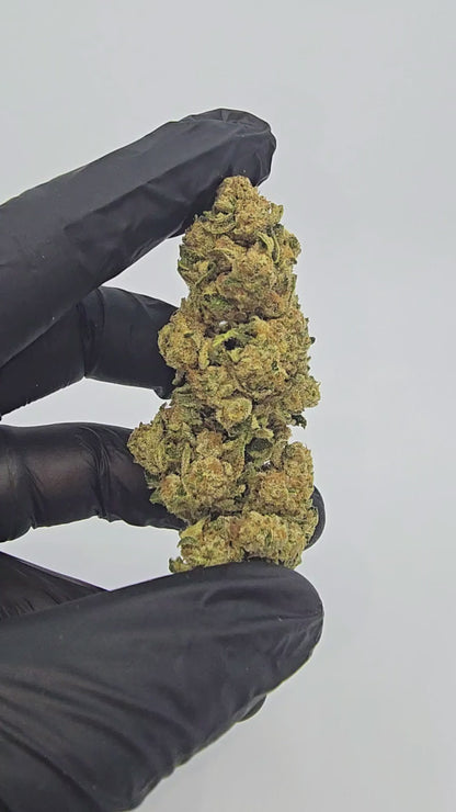 Tropical Cookies | Top Tier | Flower