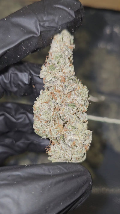 StrawnApple | First Cut Exotics | Flower
