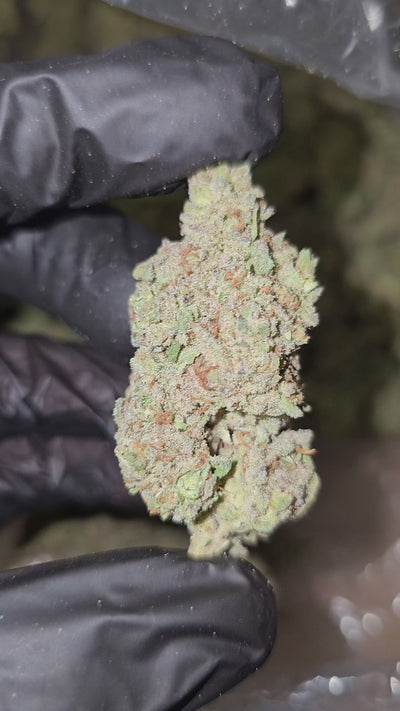Frosted Donut | Top Shelf | 33% | Flower