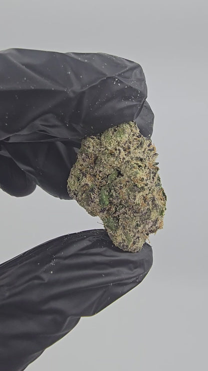 Blood Diamond | First Cut Exotics | Flower