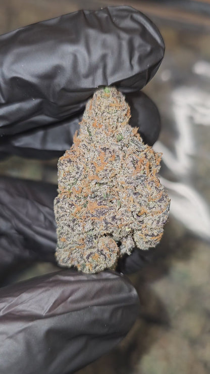 Zerealz | [Cereal Milk x Zkittlez] | First Cut Exclusive | Flower