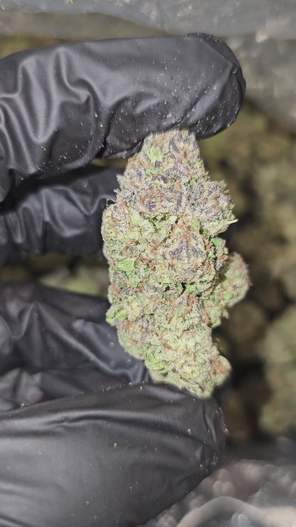 Lemon Cherry Garcia | Top Shelf | Flower