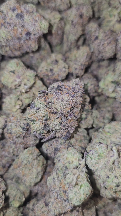 Crystal Gelato | Boutique Tier | Flower | 36%
