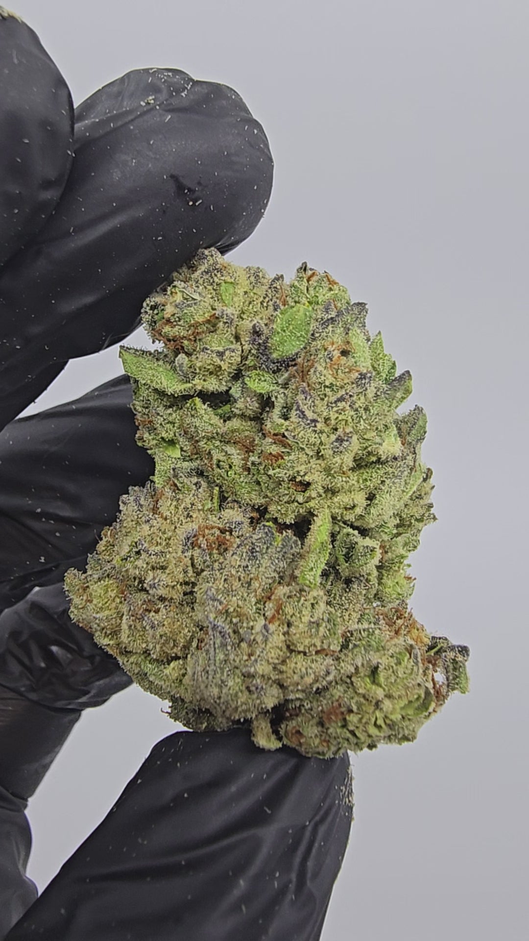 Passion Fruit | Top Tier | Flower