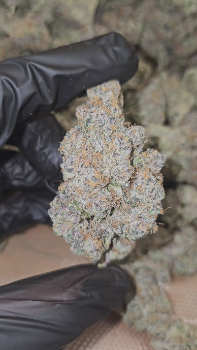 Super Boof | First Cut Exclusive | Flower