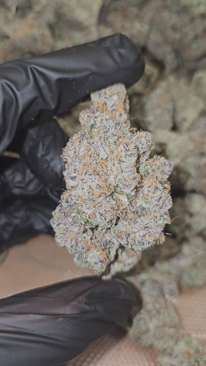 Super Boof | First Cut Exclusive | Flower