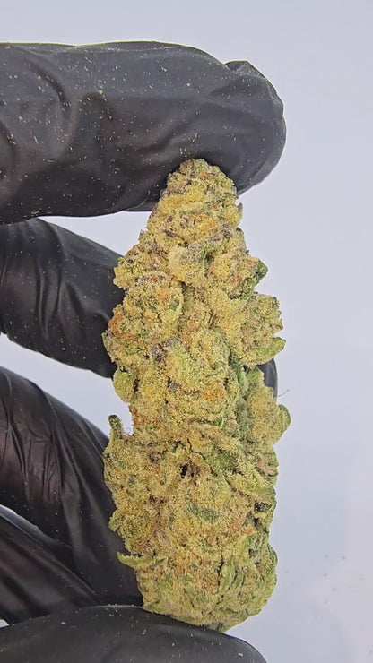 Punch Breath | Top Tier | Flower