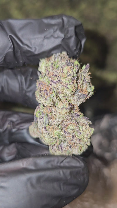 Banana Killer | Top Shelf | Flower