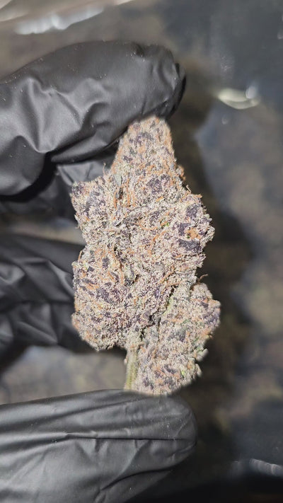 Watermelon Skittlez | First Cut Exotics Flower | ON SALE