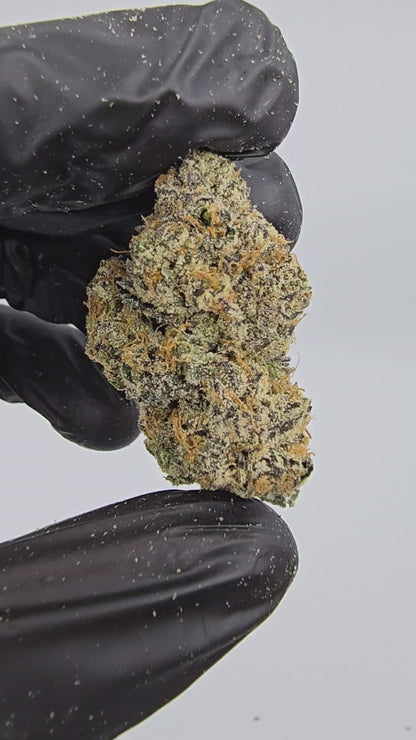 White Gummies | First Cut Exotic | Flower | ON SALE