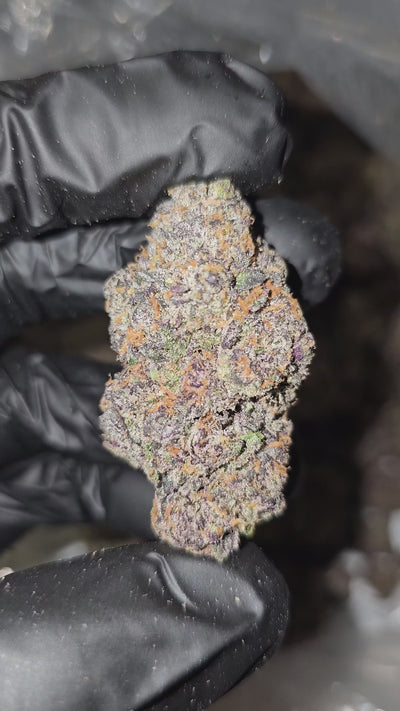 Old Money | Boutique Exotics | 32% | Flower