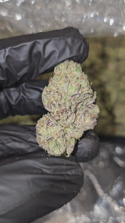 Pineapple Fruz | Top Shelf | Flower | ON SALE