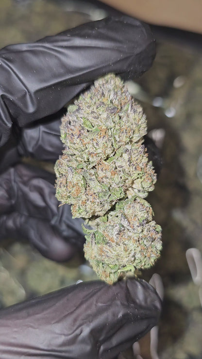 First Class Funk | Top Shelf | Flower | ON SALE