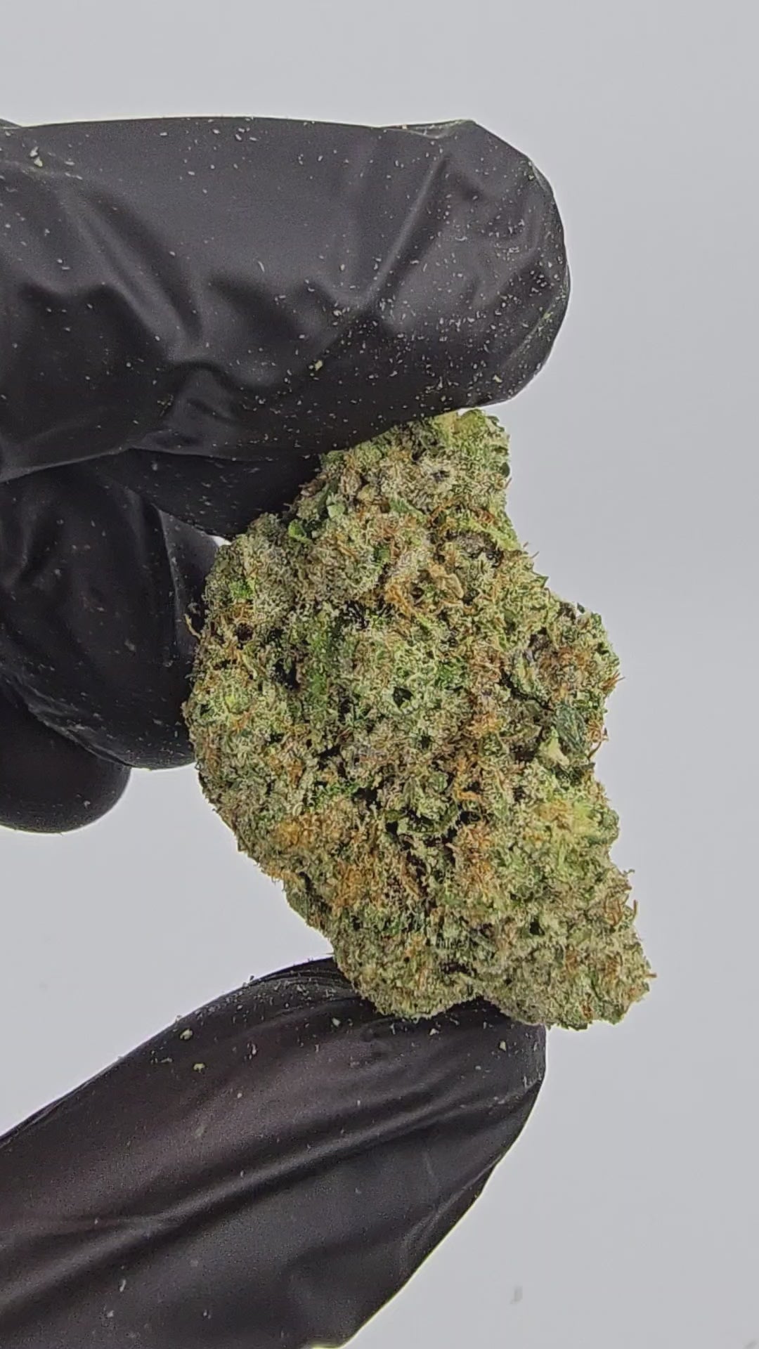 Sour Diesel | Boutique Exotics | Flower