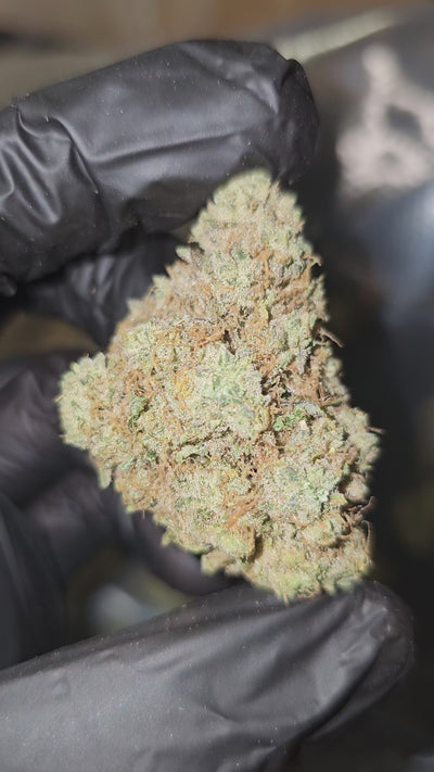 Maple Fumez | Boutique Exotics | Flower